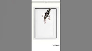 Minimalist female line art using turtle python #shorts #creative #satisfying