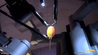 da Vinci Surgical System - Peeling A Grape