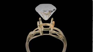 Ring 3DS MAX Animation