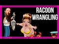 Clue  cletus wrangling racoons