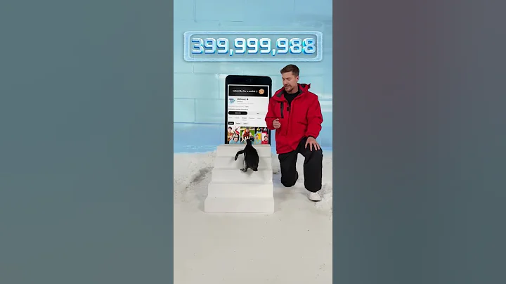 Can I Teach a Penguin To Subscribe? #penguin #mrbeast