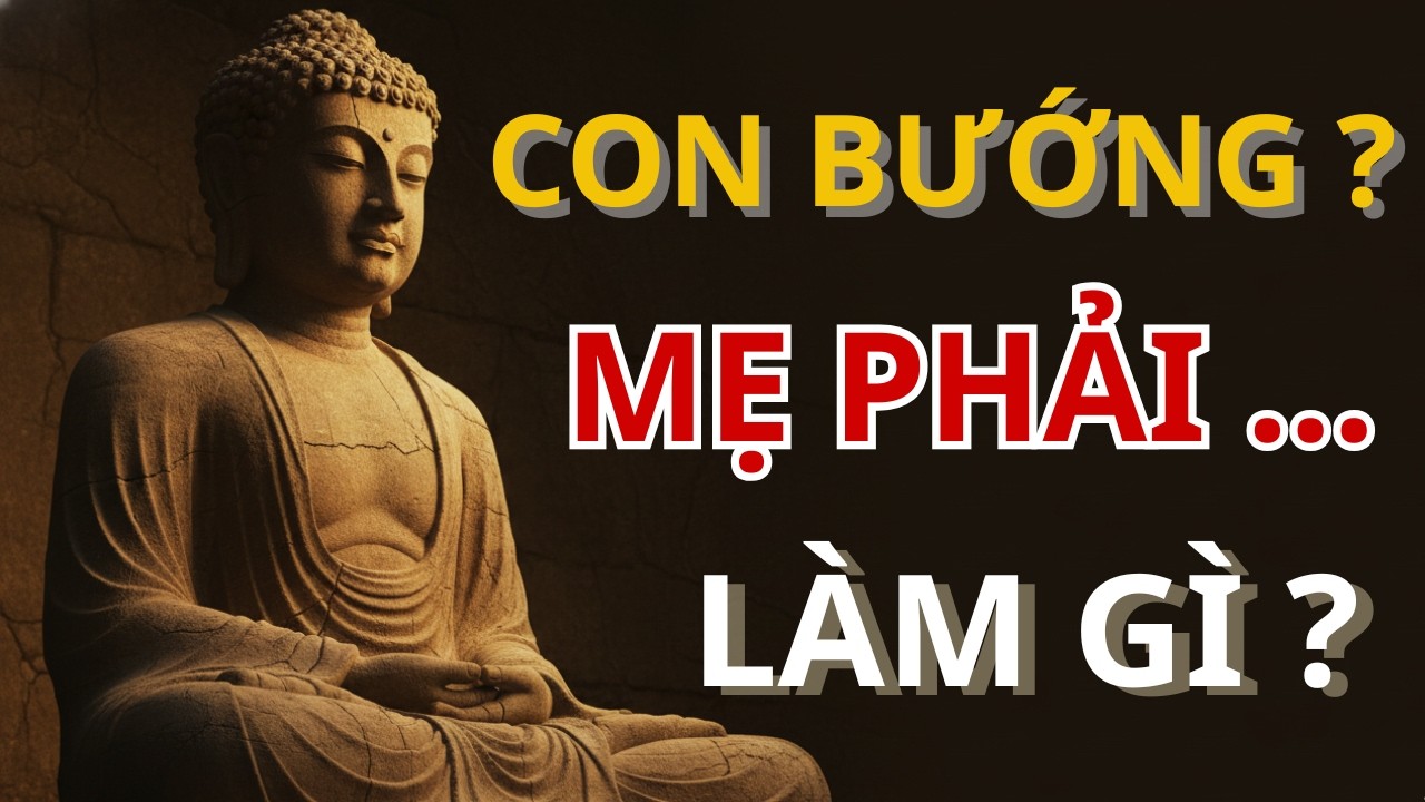 CON BƯỚNG MẸ LÀM GÌ - CON BƯỚNG? MẸ ĐỪNG ÉP ! - CON CÃI ? MẸ DỪNG 5 PHÚT - CON NGANG ? MẸ ĐỔI 1 ĐIỀU