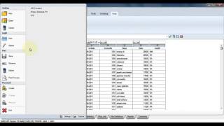 SoftCAAT Menu - File Menu Introduction Guide