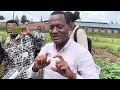 рџ ґHOW GM IRISH POTATOES ARE CONTROLLED IN CONFINED FIELD TRIAL MUSANZE RWANDA 2025 рџ ґHOW GM IRISH POTATOES ARE CONTROLLED IN CONFINED FIELD TRIAL MUSANZE RWANDA 2025