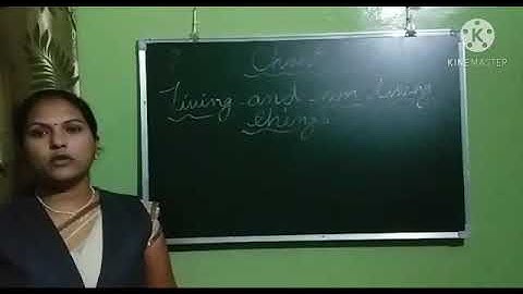 Dalauda Public School Class 3rd science chapter 1(Revision) video by Bindu Tiwari