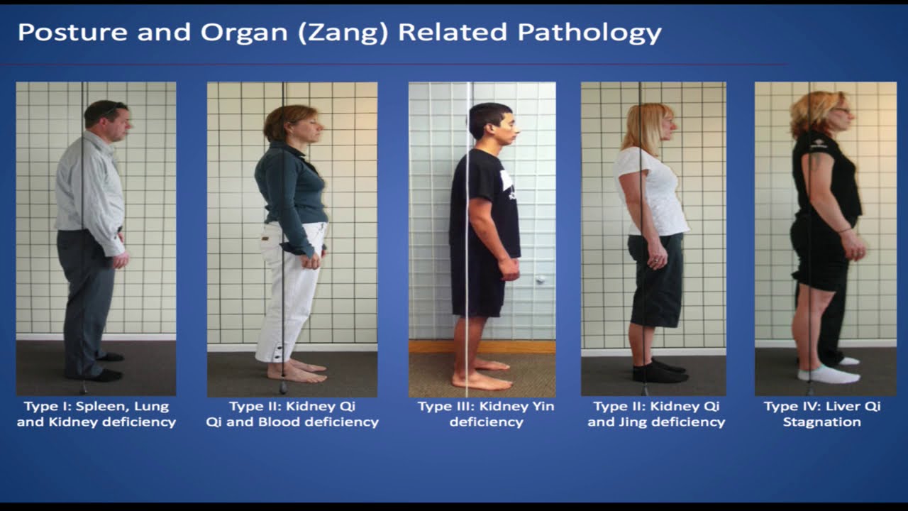 American Acupuncture Council & Matt Callison of AcuSport Education