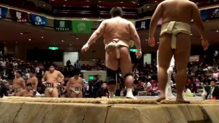 20161106全国学生相撲選手権大会団体Aクラス予選5