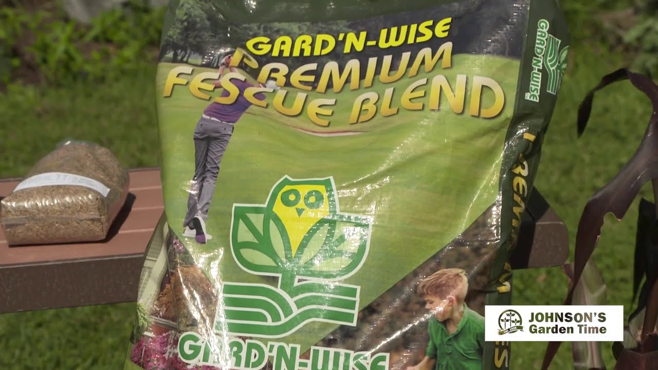 Johnson's Garden Time Fescue Lawn Overseeding