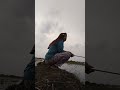 mancing mania #youtubeshorts #youtube #mancingmania #mancing