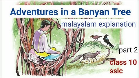 Adventures in a Banyan Tree | SSLC | Class 10 english | Scert