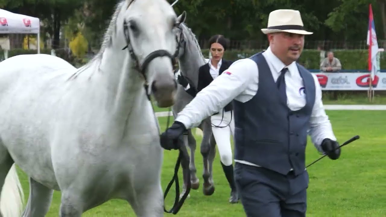 Konji ponovo jure ep. 1450 17.10.2025.