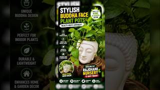 “Stylish Buddha Face Plant Pot 😍 | Unique Home Decor | Rajdhani Nursery”