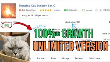 Hunting Cat Scalper ♻️Terminal:- MT4 Best Gold EA