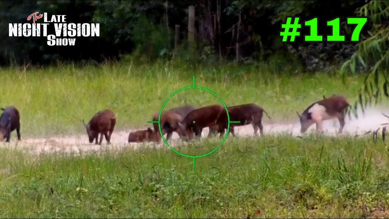 Ep. 117 Choosing The Right Hog Hunting Outfitter YouTube