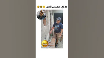 لا للتنمر تشبع ضحك ضحك ههههههه الجزائر تونس المغرب تراند تيك توك 
