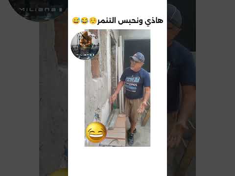لا للتنمر تشبع ضحك ضحك ههههههه الجزائر تونس المغرب تراند تيك توك