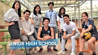 Full IMMACULATE CONCEPTION CATHEDRAL SCHOOL Update