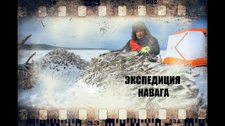 Экспедиция &quot;НАВАГА&quot;