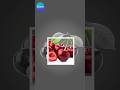 Canva course gratis : confection d’une affiche . / Canva create / Canva web