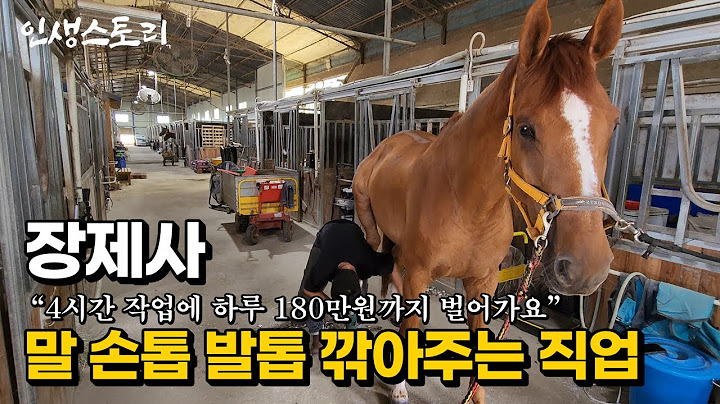 한 마리당 최소 15만원 연봉 1억 넘게 버는 30살 말발굽 장제사 | 휴먼스토리 | 직업의모든것 | 갈간남 | 골라듄다큐 | 극한직업