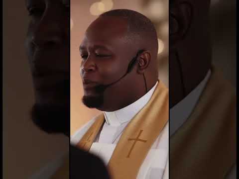 الحب شيء جميل حفل زفاف وصيفات العروس وصيفة العروس فستان الزفاف