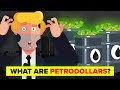 How Petrodollars Affect The US Dollar And The World Economy?