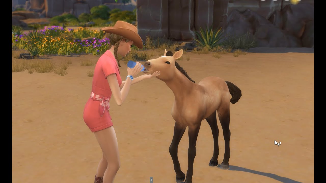 Sims 4 Rescue Horses longplay (no commentary)