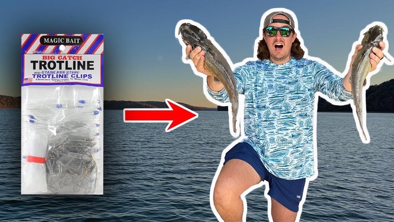 TROTLINE Fishing For BIG CATFISH! (Catch Clean & Cook) 