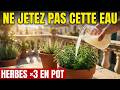 L'EAU DE CUISSON SUFFIT! Vos herbes aromatiques triplent en pot sans engrais ni arrosoir.
