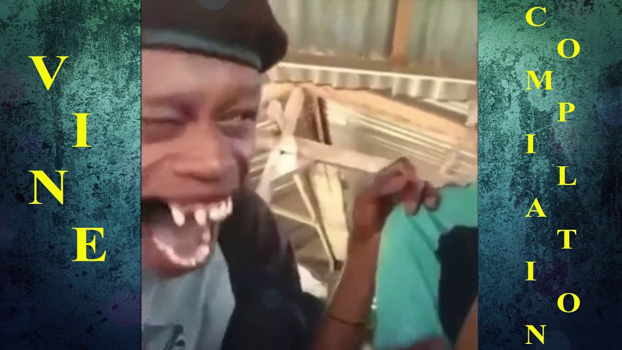 TRY NOT TO LAUGH | FUNNY VIDEOS