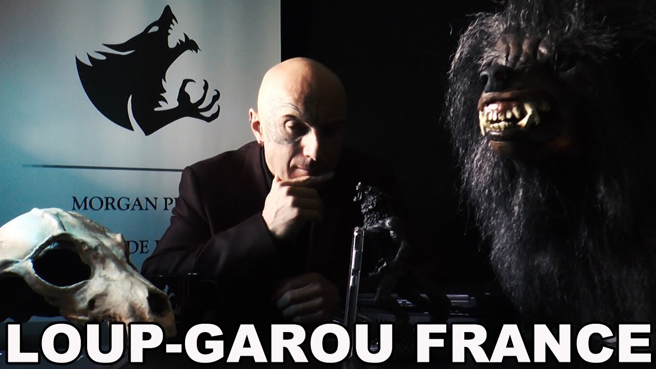 🐺 TÉMOIGNAGE 82 UN LOUPGAROU A MONTAUBANDEBRETAGNE ILLEET