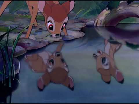 Bambi   ბემბი ქართულად online video cutter com