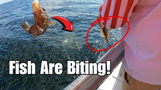 Catching Sea Bass at Myrtle Beach on the Voyager Deep Sea Fishing Charter! - South Carolina