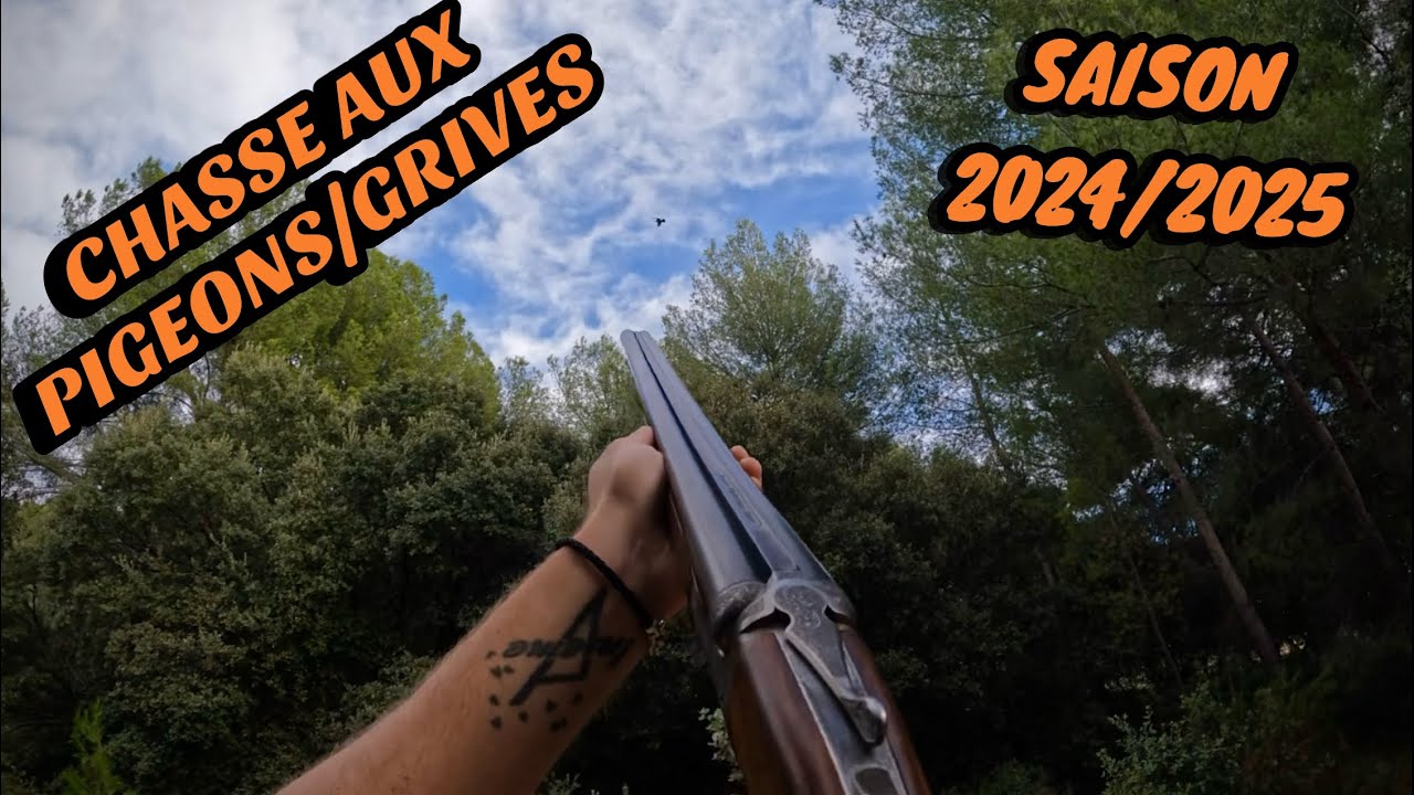 Chasse aux pigeons/grives - 2024/2025