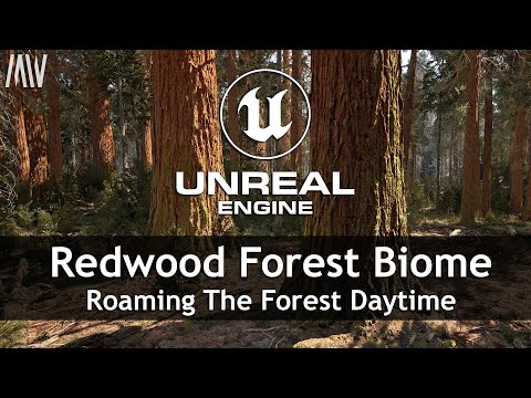 MAWI Redwood Forest | Unreal Engine 5.1 Nanite | Roaming Daytime #unrealengine #UE5 #gamedev