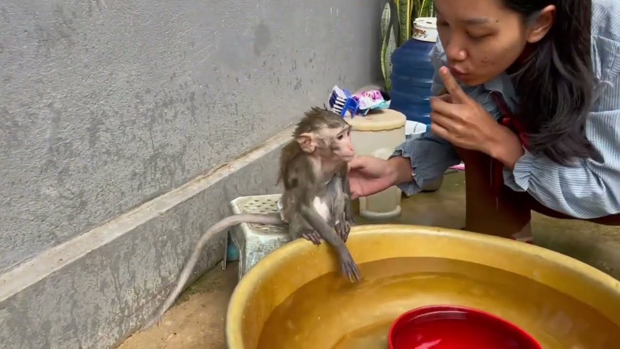 Mother pleaseddd koy to sit for mom easy bath