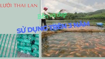 Vèo nuôi cá ốc tôm ếch lươn, lưới thái lan, Đủ mọi kích cỡ. Nhận làm hàng đặt