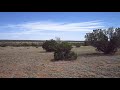 4.6 Acres in Apache County, Arizona