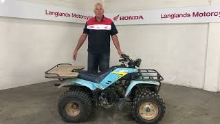 IMG 6186