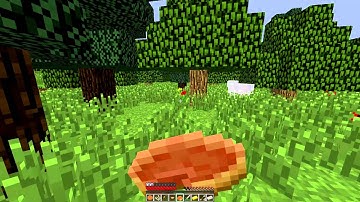 Minecraft: Hunger Games 