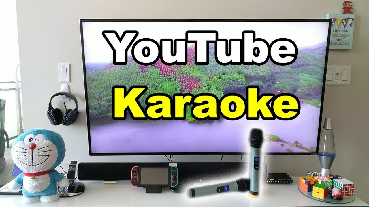 Karaoke Party Setup Wireless Microphones 