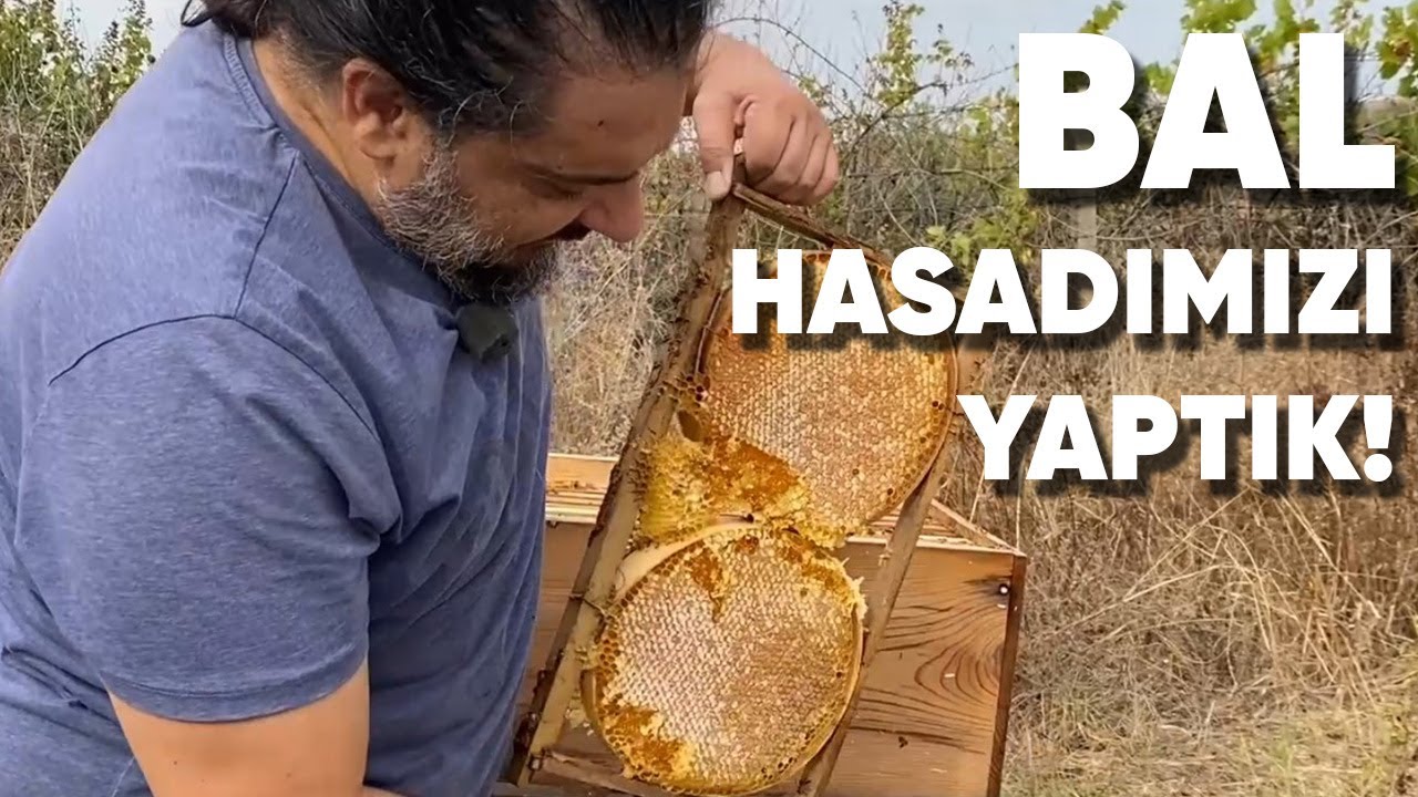 Petek Bal Hasadımızı Sohbet Ederek Yaptık!