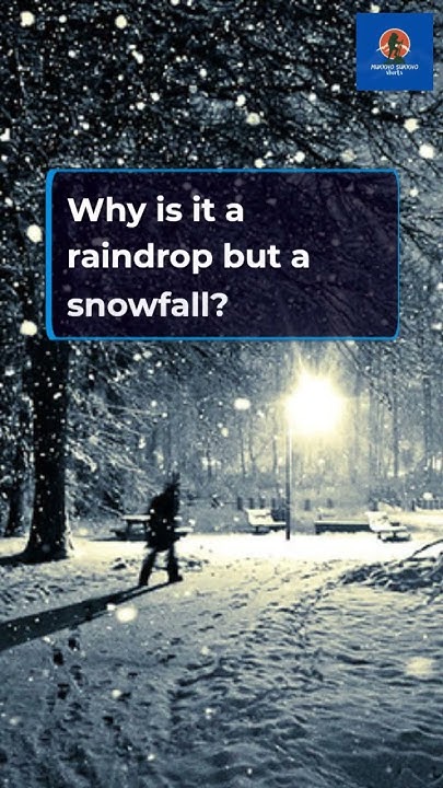 random-shower-thoughts-part-7-showerthoughts-questions-crazyfacts