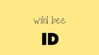 Wild Bee ID: Save bees with an app! screenshot 3