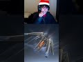 Most Normal Gacha Player Ever😭😭 #twitch #clips #highlights #xenokira #wuwa #gacha #carthwheel