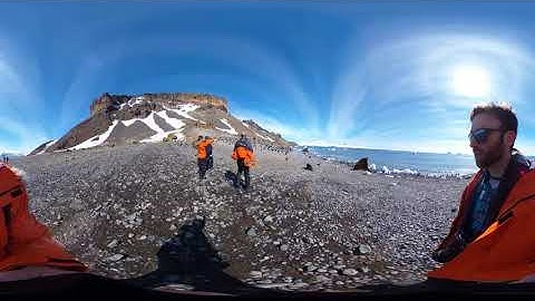 360 Video - Walking around Antarctica while surrounded by penguins
