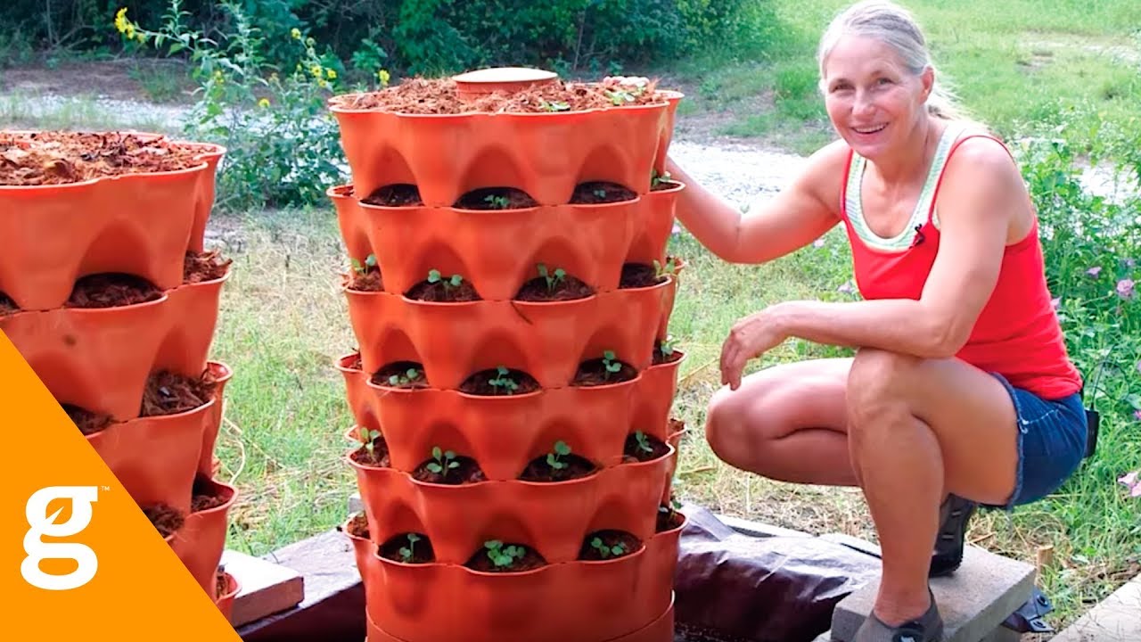 Marjory Wildcraft-- Homesteading Basics: What to Grow When You Only Have 30 Days!