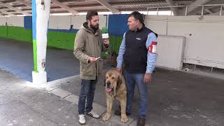 Entrevista a Tino Rodríguez / El Campo de Asturias