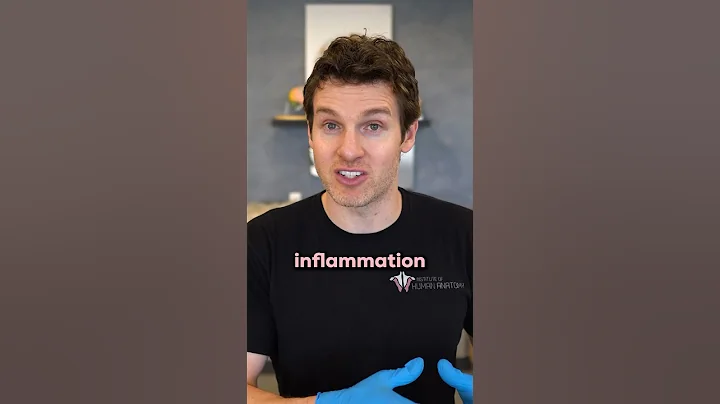 Tattoos and Your Immune System #tattoo #skin #immunity