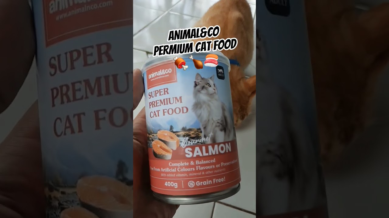 Animal & Co - Premium Cat Food 